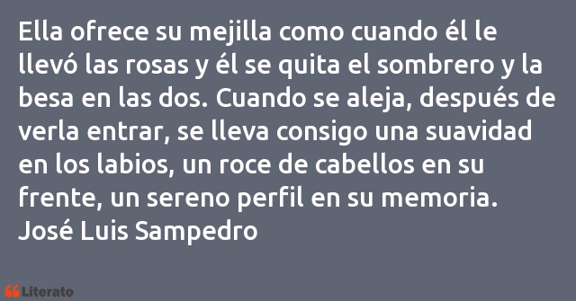 Frases de José Luis Sampedro