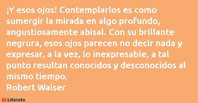 Frases de Robert Walser