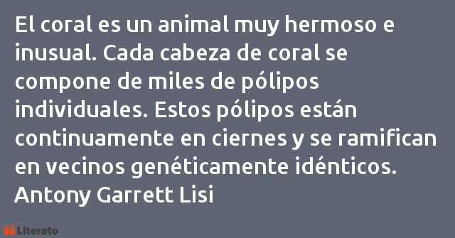 Frases de Antony Garrett Lisi