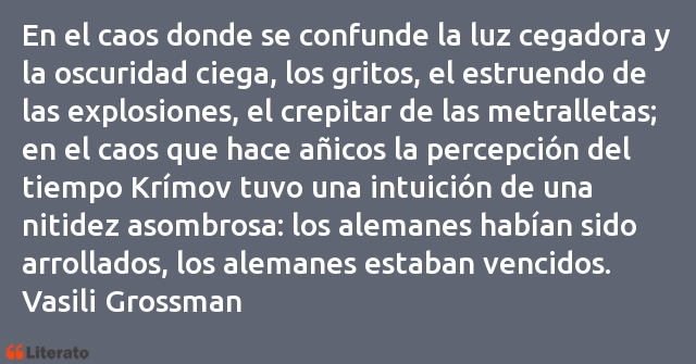 Frases de Vasili Grossman