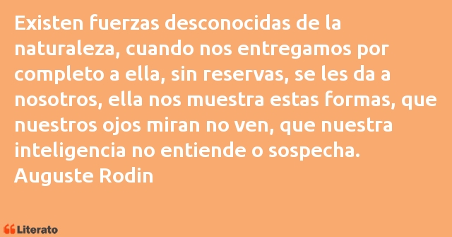 Frases de Auguste Rodin