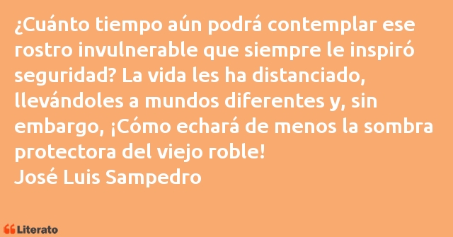 Frases de José Luis Sampedro