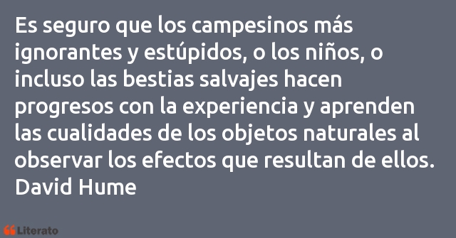 Frases de David Hume