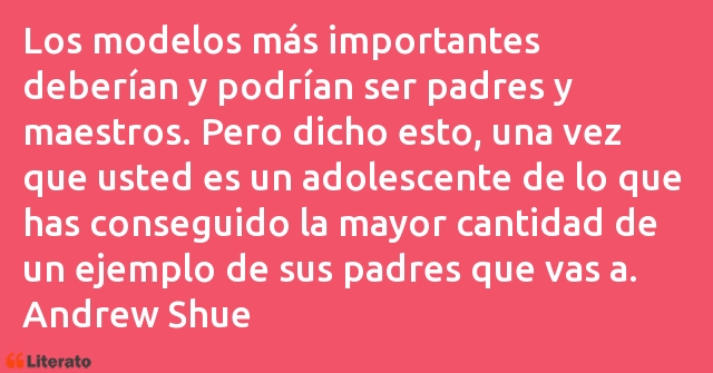 Frases de Andrew Shue