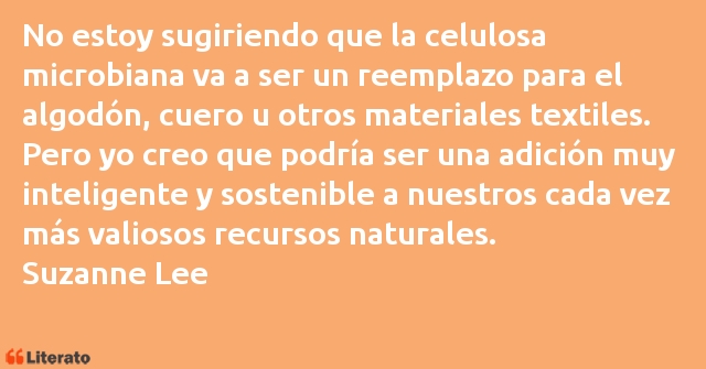 Frases de Suzanne Lee