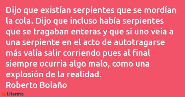 Frases de Roberto Bolaño