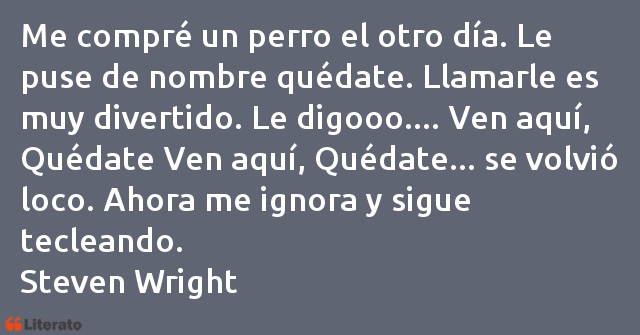 Frases de Steven Wright