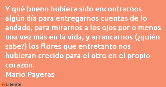 Frases de Mario Payeras