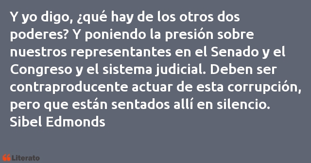 Frases de Sibel Edmonds