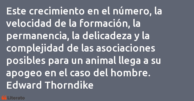 Frases de Edward Thorndike