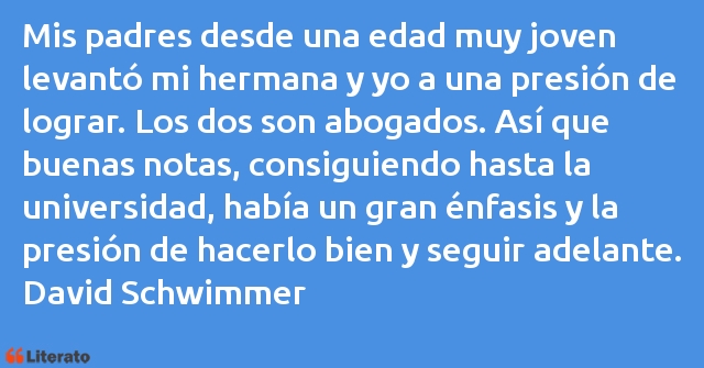 Frases de David Schwimmer