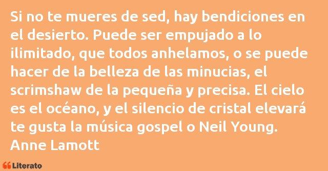 Frases de Anne Lamott