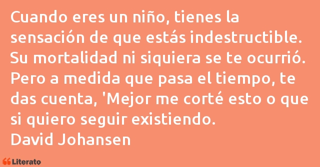 Frases de David Johansen