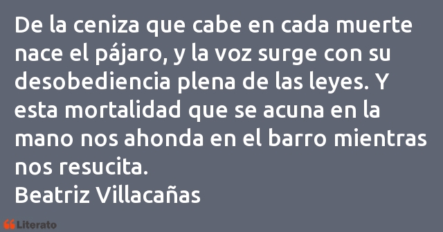 Frases de Beatriz Villacañas