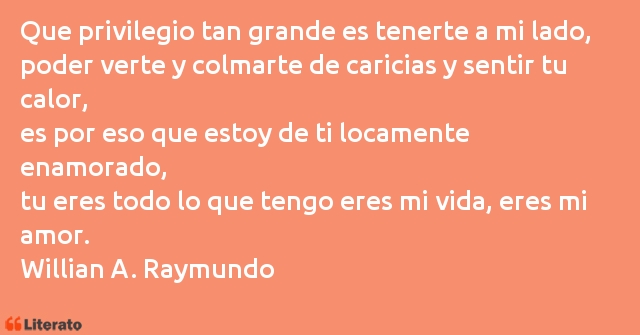 Frases de Willian A. Raymundo