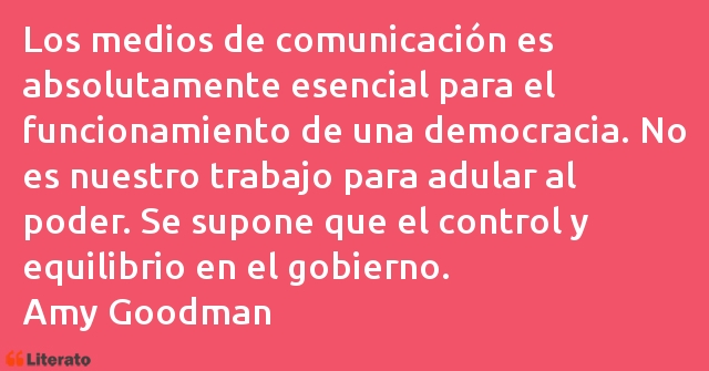 Frases de Amy Goodman