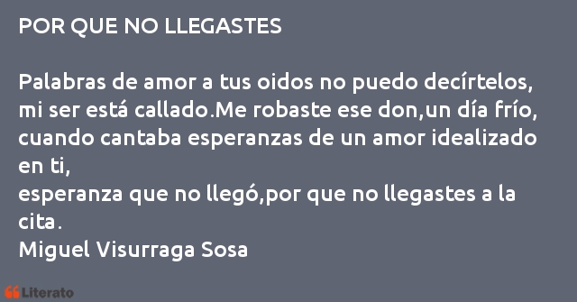 Frases de Miguel Visurraga Sosa