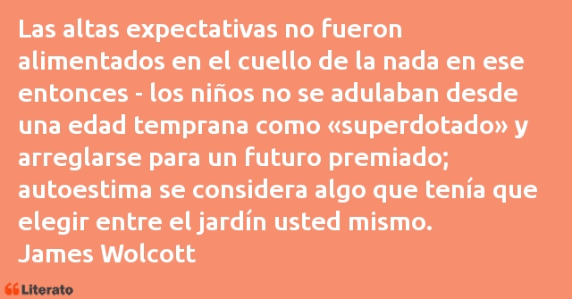 Frases de James Wolcott