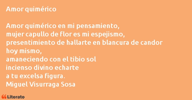 Frases de Miguel Visurraga Sosa