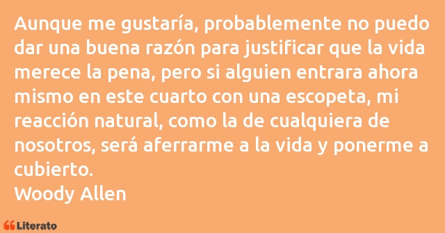 Frases de Woody Allen