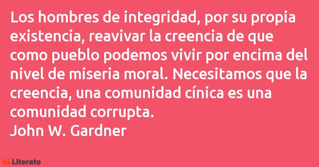 Frases de John W. Gardner