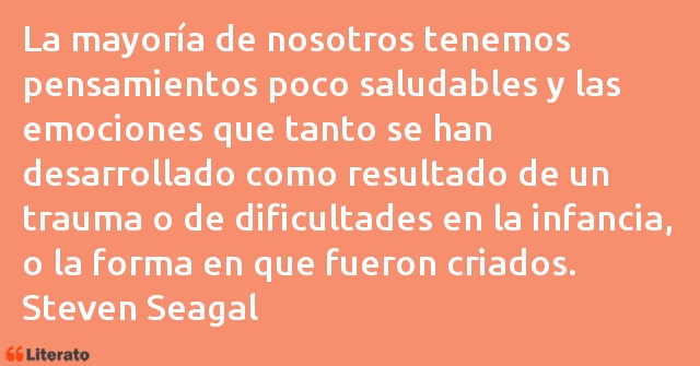 Frases de Steven Seagal