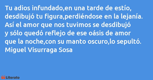 Frases de Miguel Visurraga Sosa