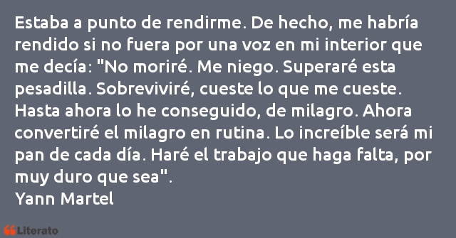 Frases de Yann Martel