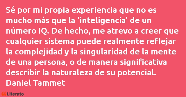 Frases de Daniel Tammet