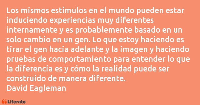 Frases de David Eagleman