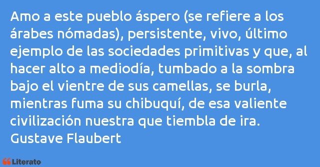 Frases de Gustave Flaubert