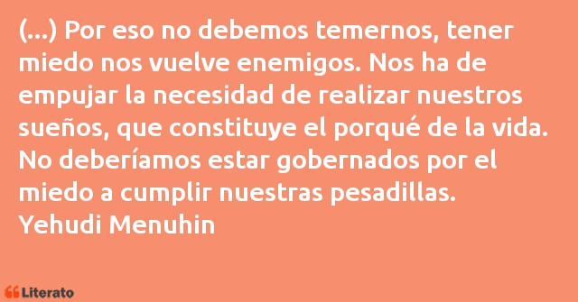 Frases de Yehudi Menuhin