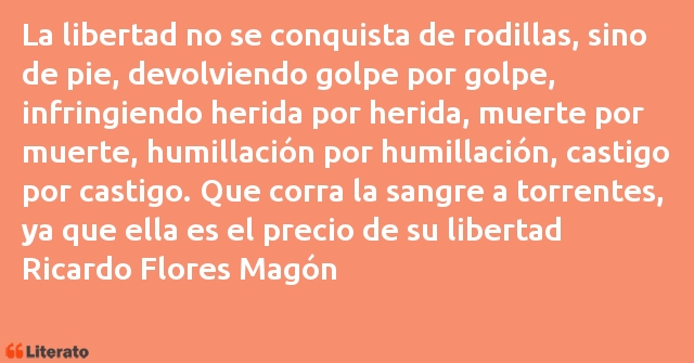 Frases de Ricardo Flores Magón