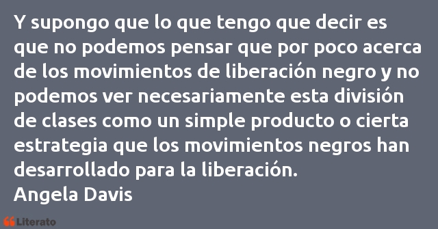 Frases de Angela Davis