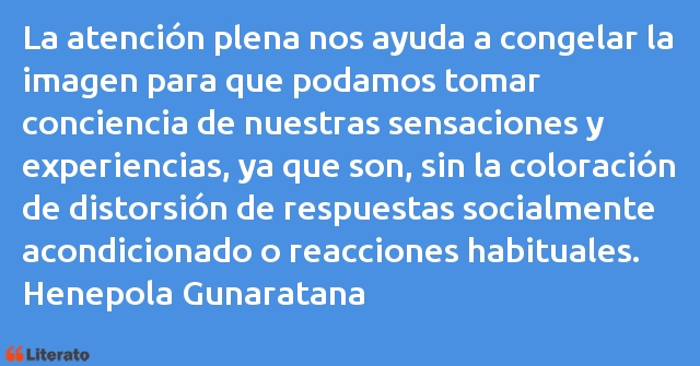 Frases de Henepola Gunaratana