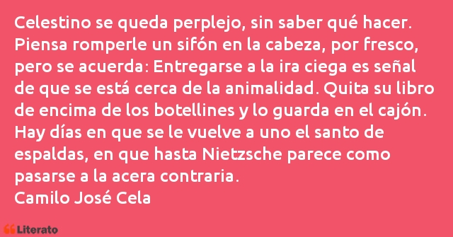 Frases de Camilo José Cela