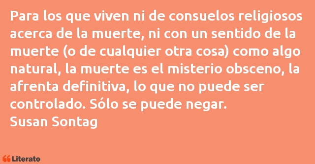 Frases de Susan Sontag