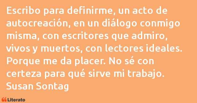 Frases de Susan Sontag