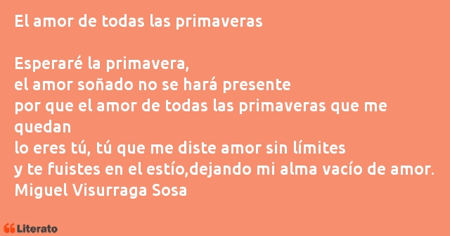 Frases de Miguel Visurraga Sosa