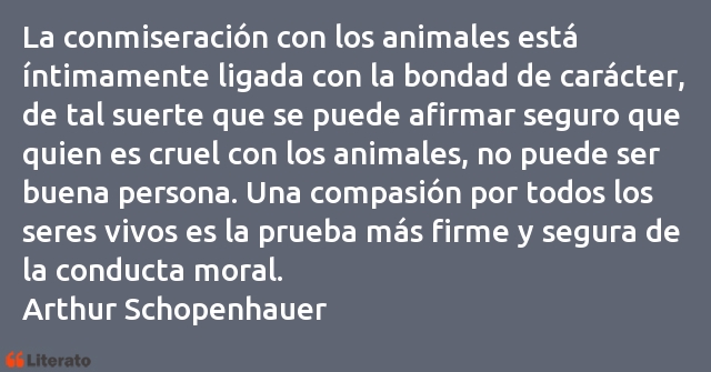 Frases de Arthur Schopenhauer