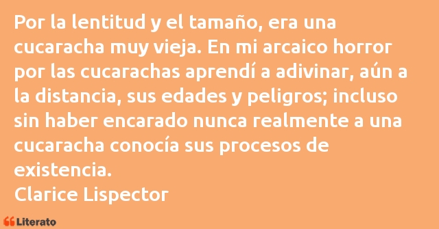 Frases de Clarice Lispector