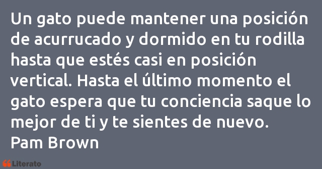 Frases de Pam Brown