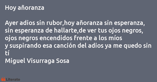 Frases de Miguel Visurraga Sosa