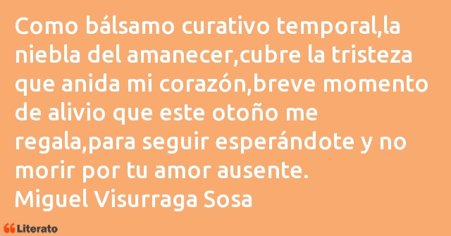 Frases de Miguel Visurraga Sosa