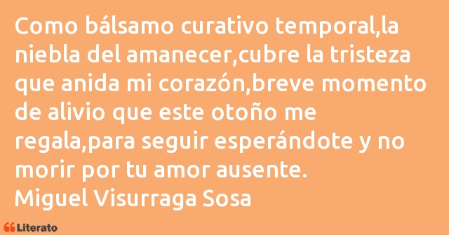 Frases de Miguel Visurraga Sosa