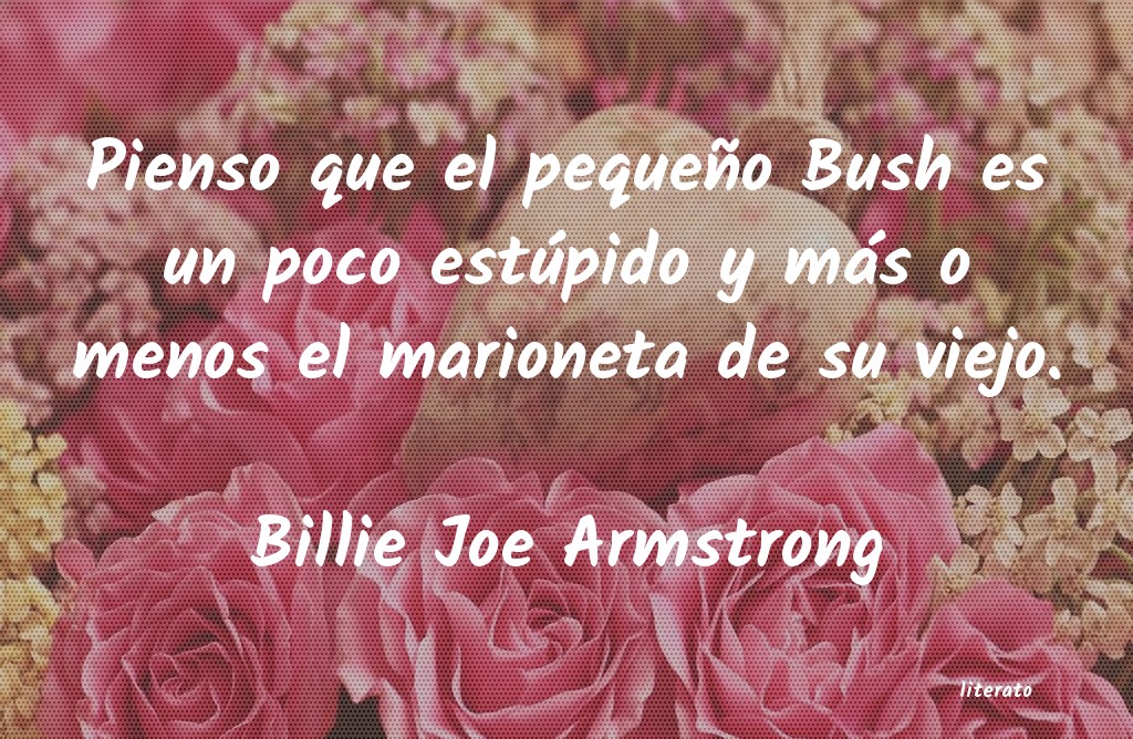 Frases de Billie Joe Armstrong