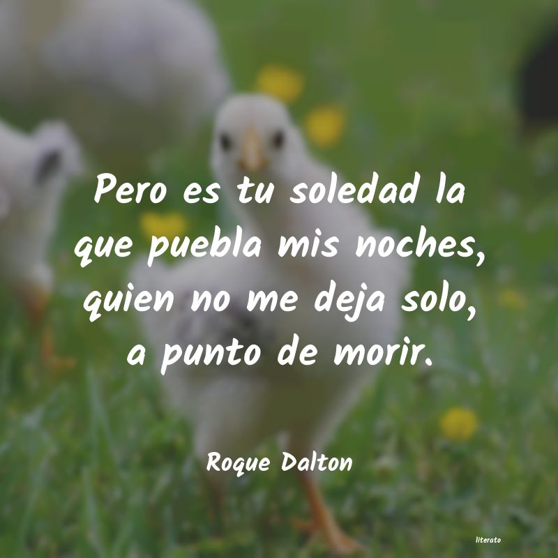frases de Roque Dalton