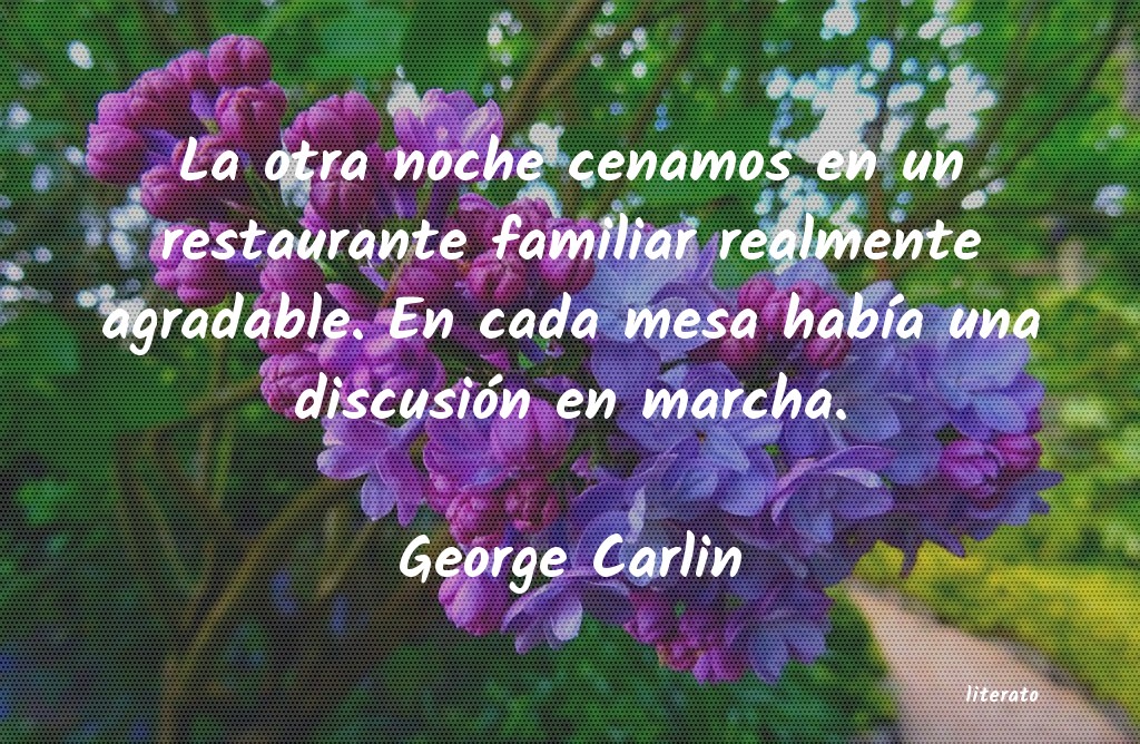 Frases de George Carlin