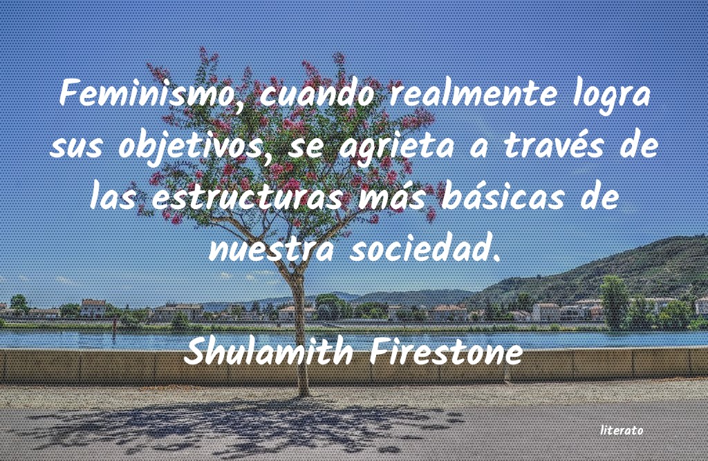 Frases de Shulamith Firestone