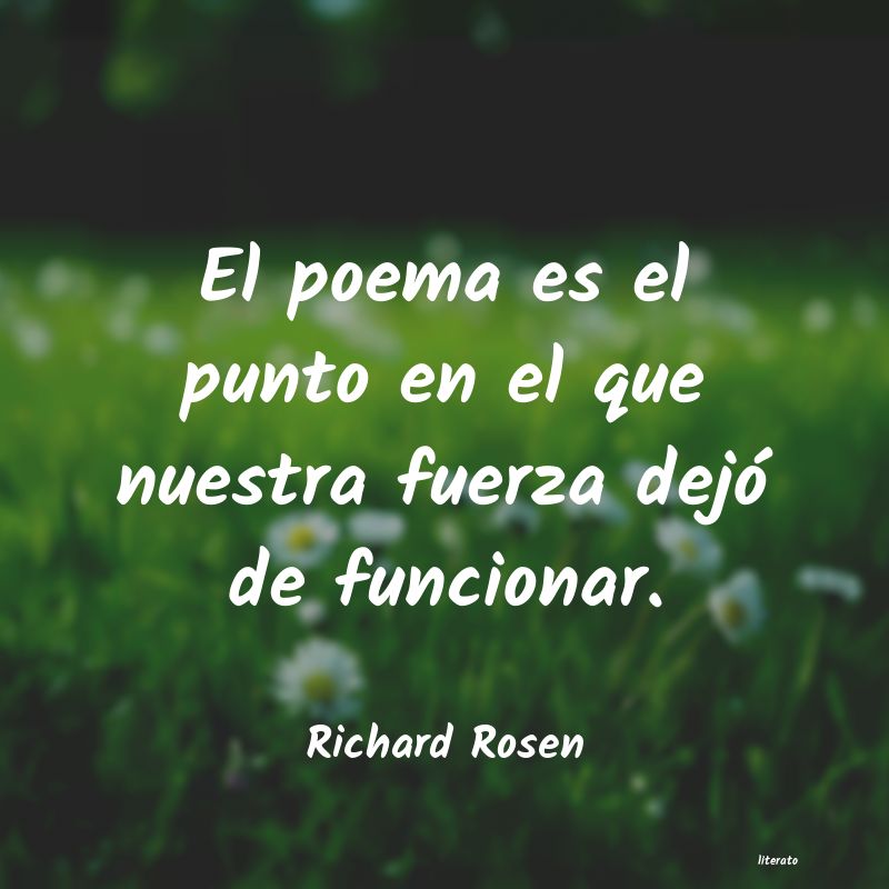 Frases de Richard Rosen